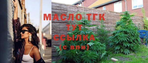мет Ладушкин