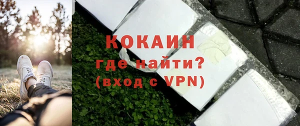 мет Ладушкин