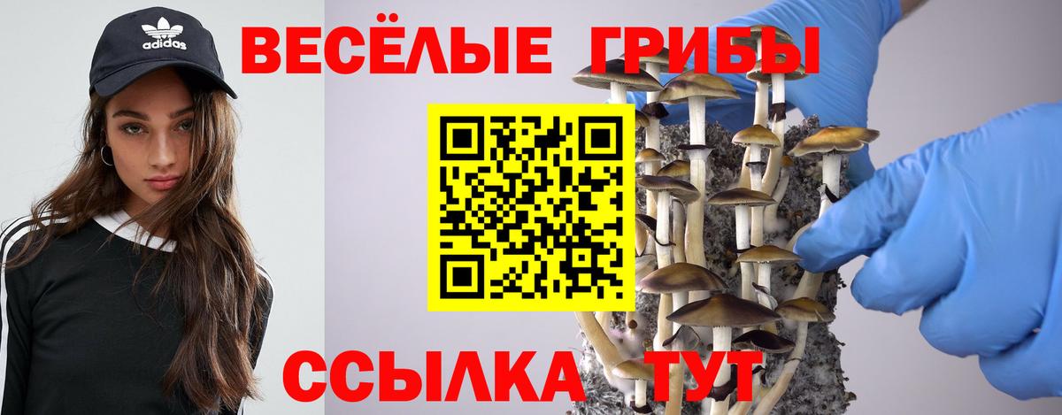 Псилоцибиновые грибы GOLDEN TEACHER  Псилоцибиновые грибы Psilocybe  Старая Русса  Вход с VPN 